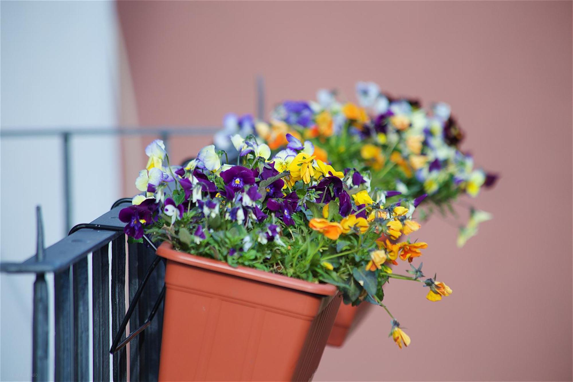 Il Giardino Segreto Couette-café 3*