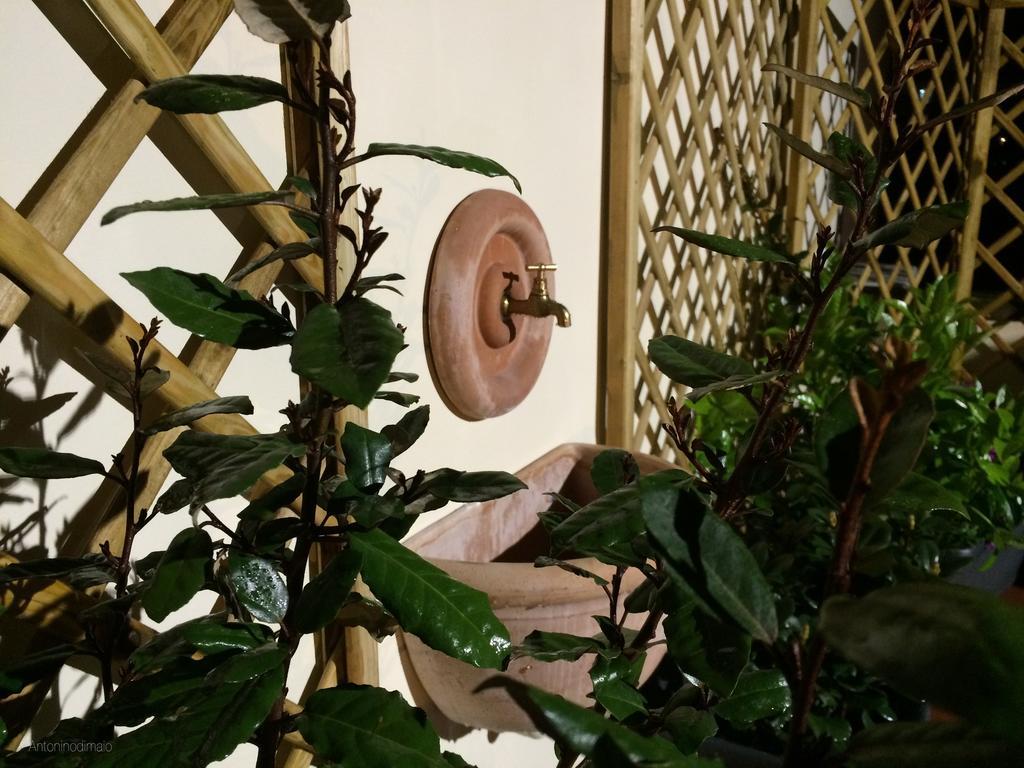 Il Giardino Segreto 3* Península Sorrentina