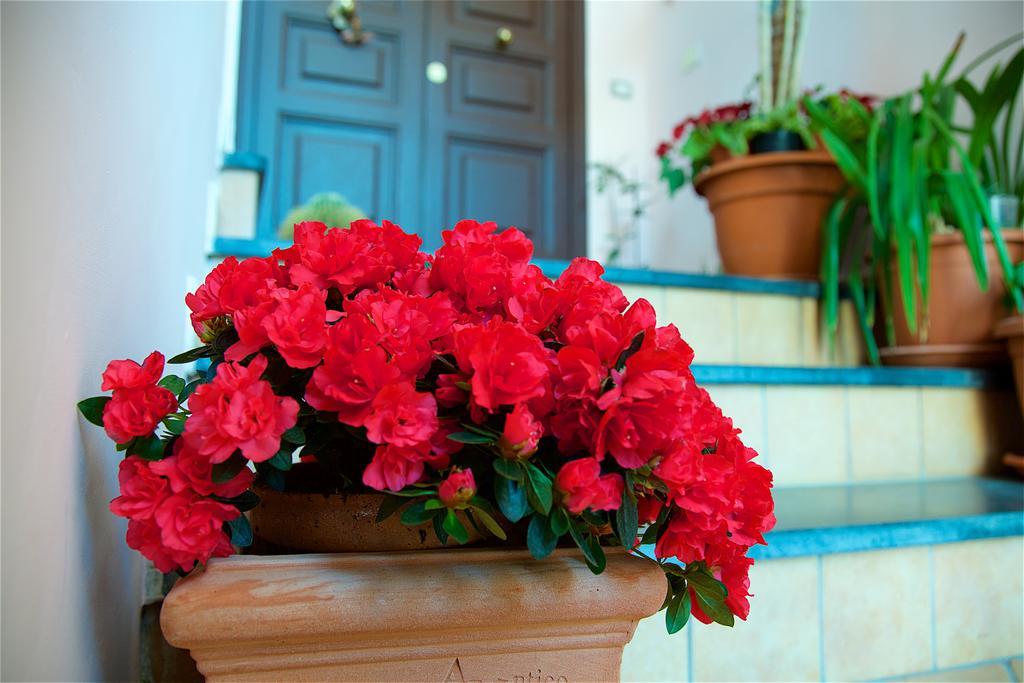Bed and breakfast Il Giardino Segreto 3*